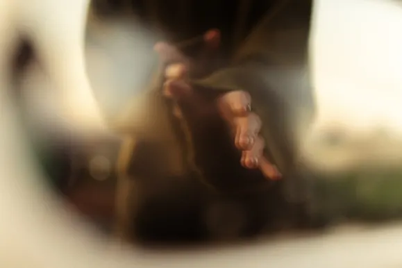 Casino Royal Slots Assistance